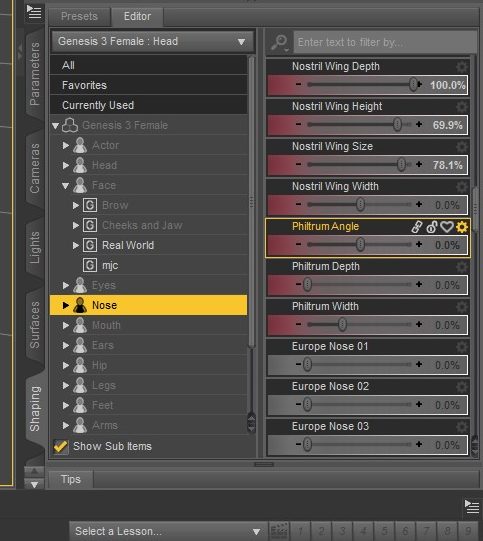 Parameters. Daz Studio 3D model