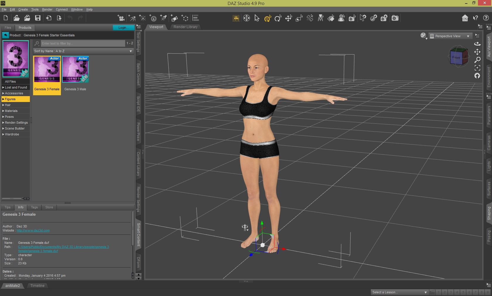 Daz Studio 3D model