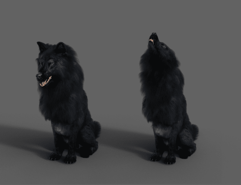 Dire-Wolf-Animations-for-Daz-Dog-8-and-Genesis-8-Daz3d-Wolf